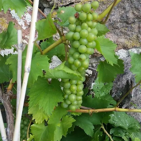 Itatalon Talonpoikaiskartano 2*